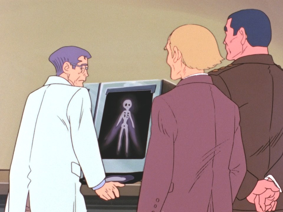 They put Cham in a box and took pictures of her tiny skeleton.