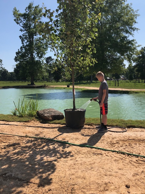 PWE_Splendora's tweet photo. Yard work, watering the plants,  and other outdoor chores are another way students are helping out and participating in the Real World Challenge. 
#pweAllGoodInTheWoods #pwerocks #WeAreSplendora #iamawildcat #distancelearning #SISDrealworldchallenge https://t.co/kLJJIEAhK5