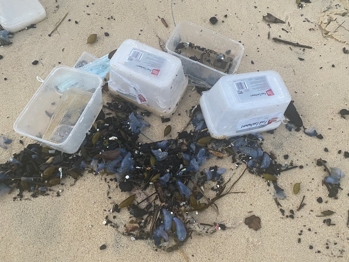 The saddest part is that most of the washed-up debris was plastic of some form or another. We can clean up the beaches, but what remains in the ocean will fragment and cause  #plastic &  #microplastic pollution for many decades.