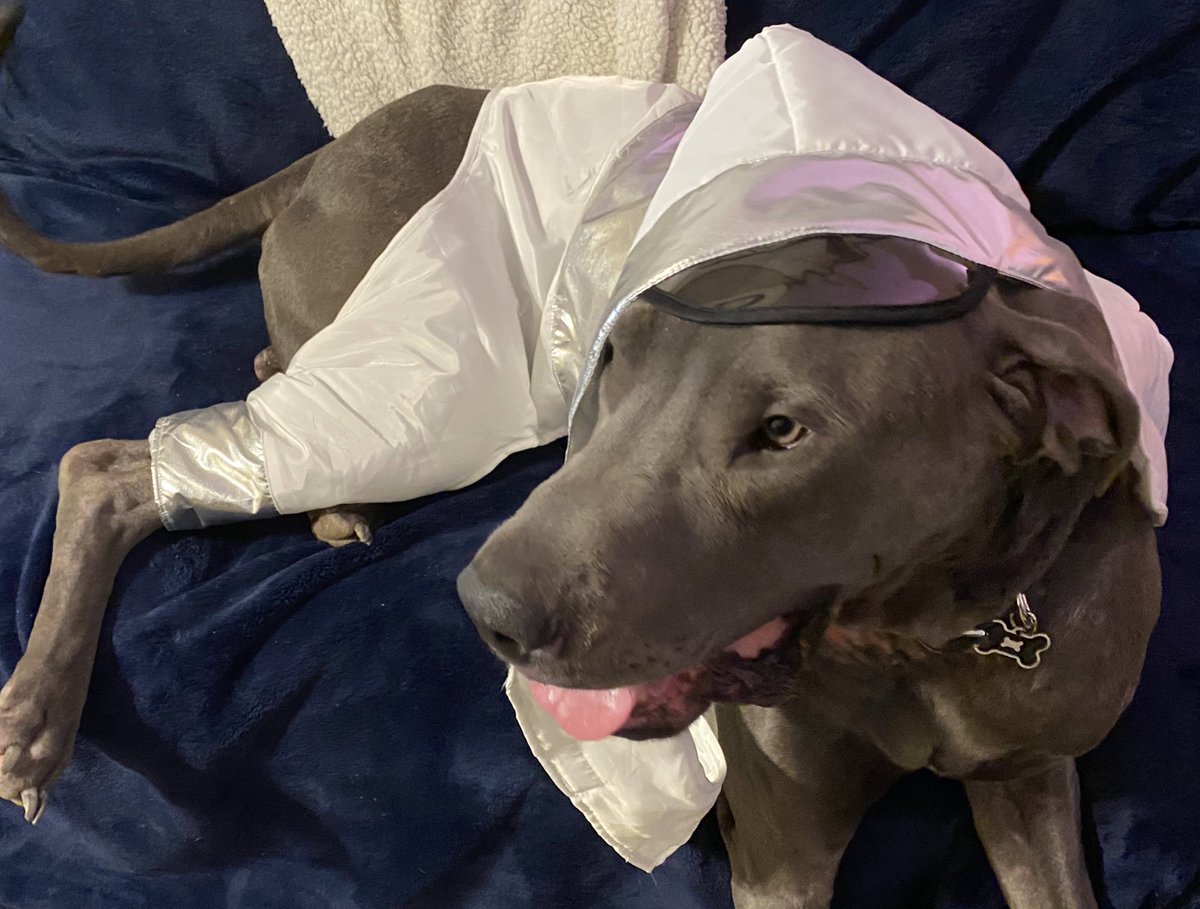 OmegaOmega's tweet image. Yo, @elonmusk and @SpaceX - I have an auxiliary crew member in case you need a last minute swap out? Suited✅ Ready✅ Treats included? #SpaceX #LaunchAmerica #CrewDragon  #Falcon9 #TeslaXTransfer #MajorTom