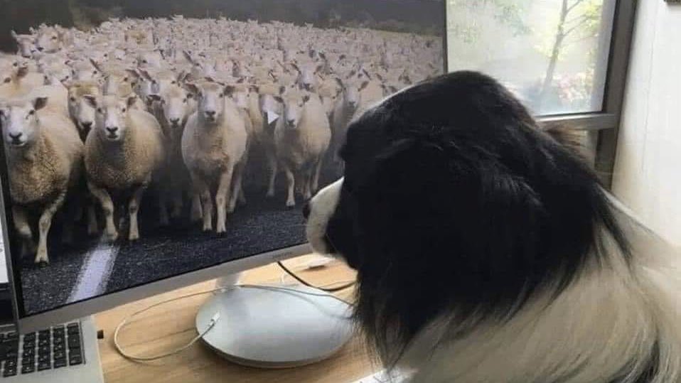 During this pandemic, the gap in #broadband access between rural and metro communities has become more obvious. And #agriculture is no stranger to the impact of needed broadband. #precisionagriculture #precisionfarming Read our latest blog. chrsolutions.com/blog/broadband…