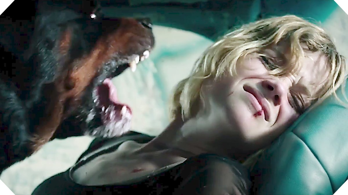 HorrorCarnival's tweet photo. Don't Breathe is a 2016 horror-thriller film directed by Fede Álvarez, co-produced by Sam Raimi &amp; Robert Tapert. The film stars Jane Levy, Dylan Minnette, Daniel Zovatto &amp; Stephen Lang. It focuses on three friends who get trapped inside a blind man's house while breaking into it. https://t.co/H5YY6qIqRi