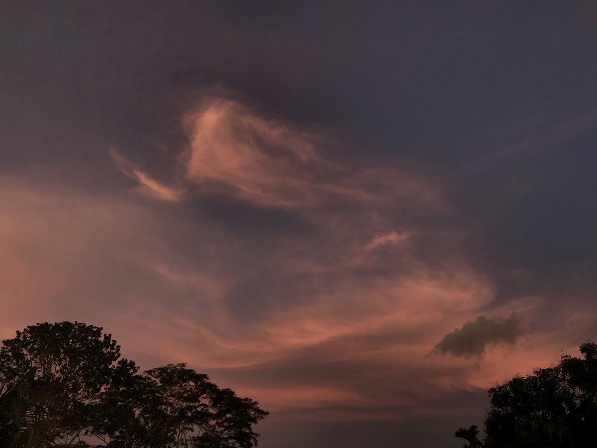 itscelestialll's tweet image. the sky was really pretty this evening :)