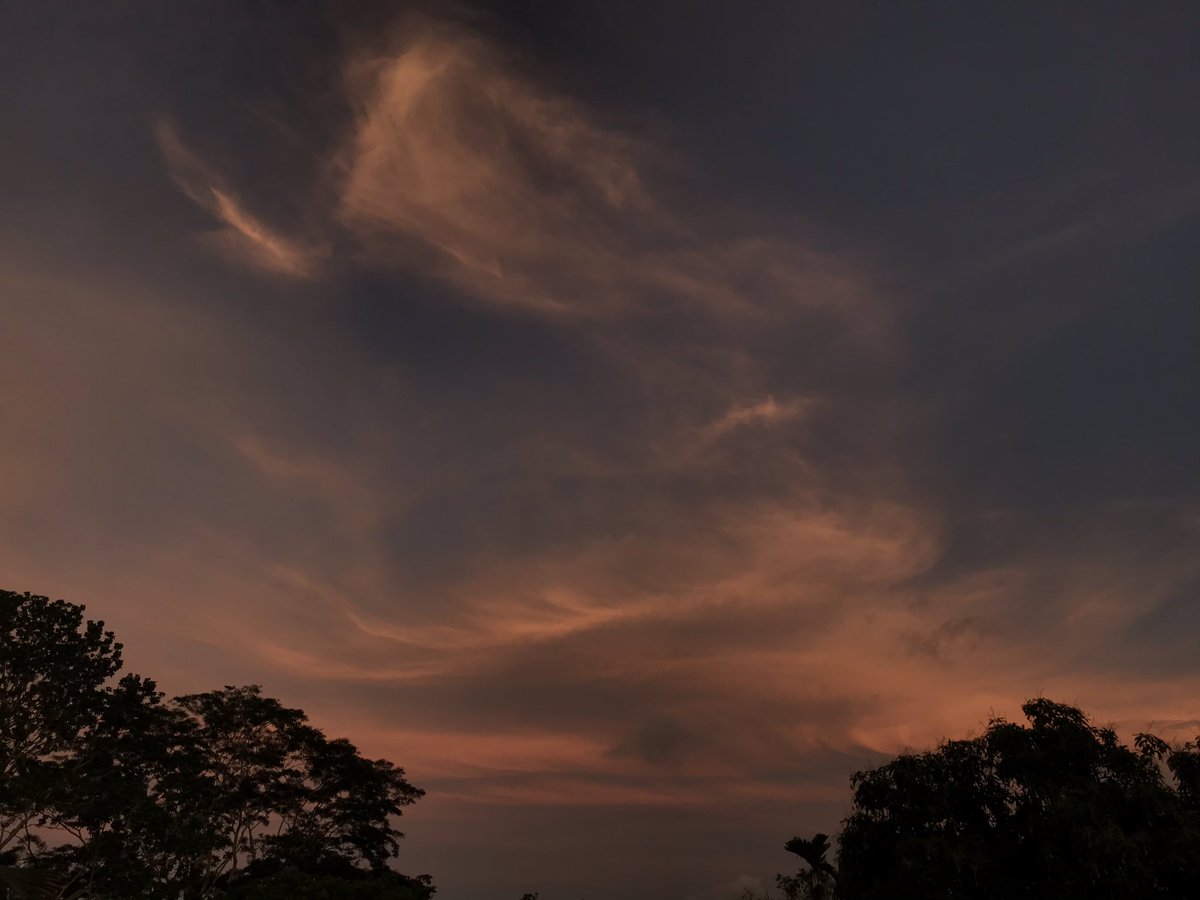 itscelestialll's tweet image. the sky was really pretty this evening :)