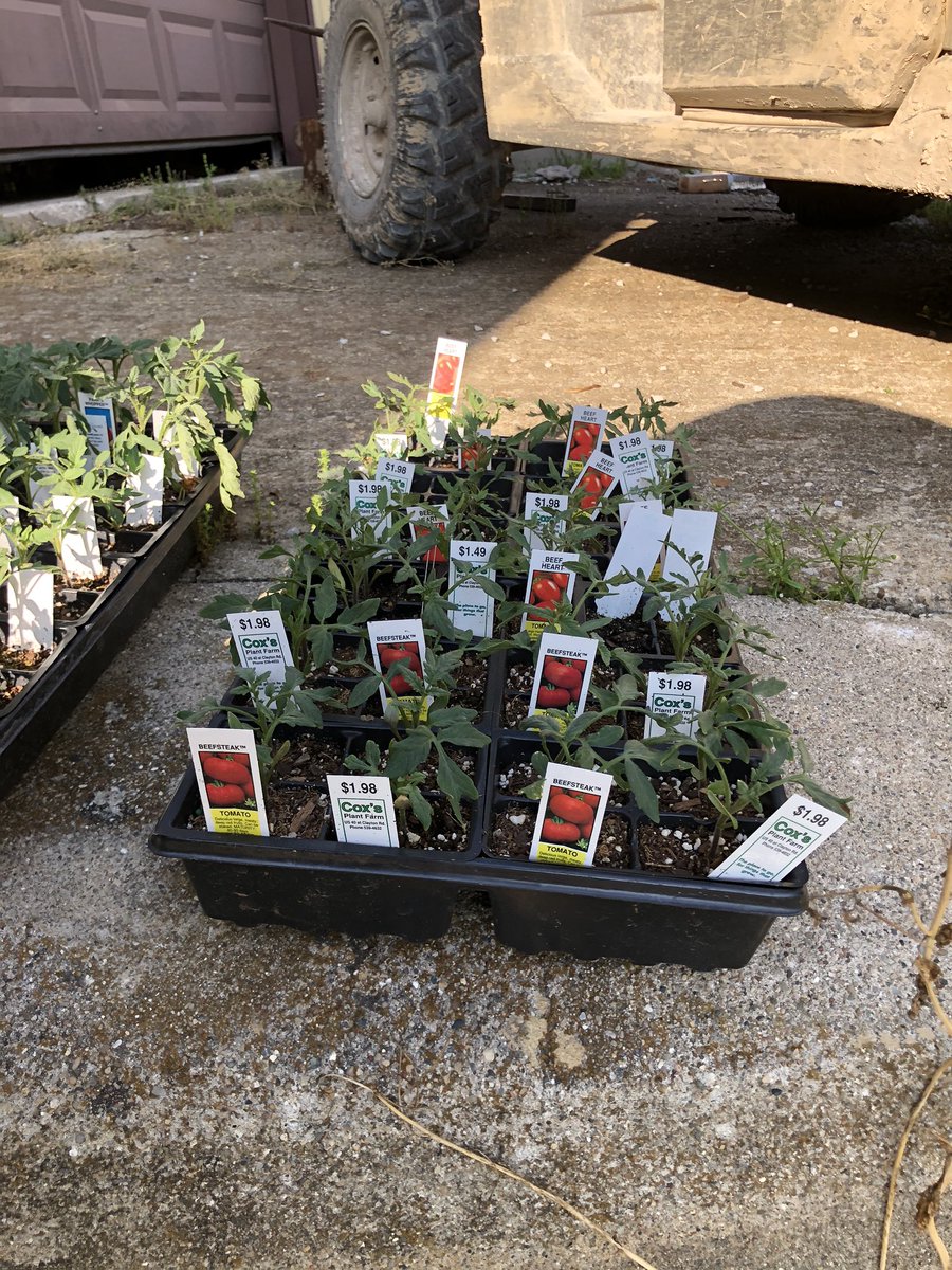 Big John's Garden (Bigjohnsgarden) Twitter