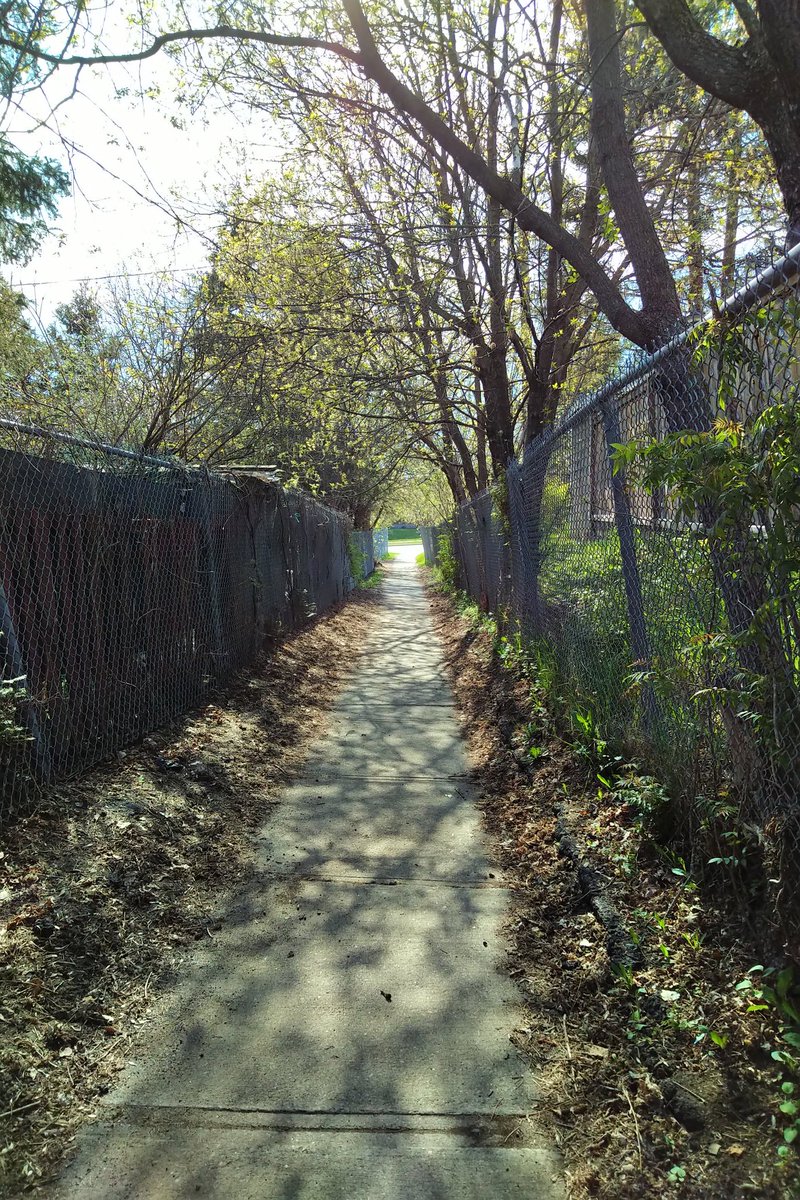 One of the highlights of today's run.