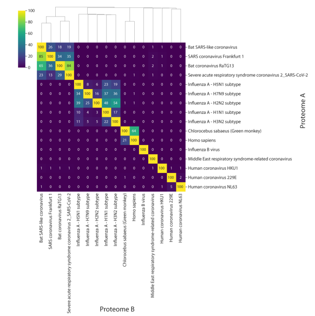 Also in Ocean Protein Portal's METATRYP V2: rapid launch of Coronavirus instance to aid in proteomic diagnostic development. We show influenza and CoV-2 share 0.1% of their tryptic peptides, values are % shared peptides @NEtoPACNW <a href="/WHOI/">Woods Hole Oceanographic Institution (WHOI)</a> #NSFGeo <a href="/MooreFound/">Moore Foundation</a> biorxiv.org/content/10.110…