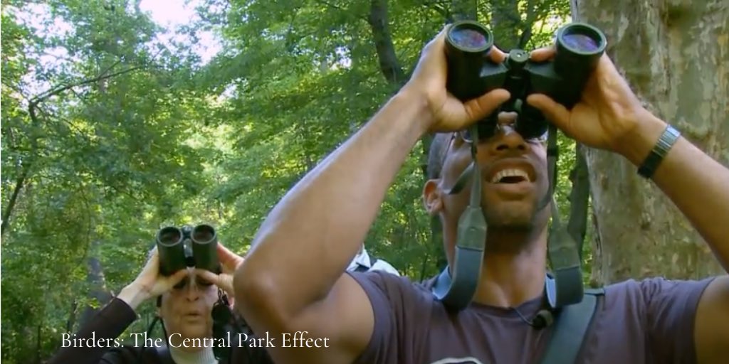 NYC Audubon is outraged by the racist attack towards our beloved board member Christian Cooper in Central Park. We are so grateful that he is unharmed.