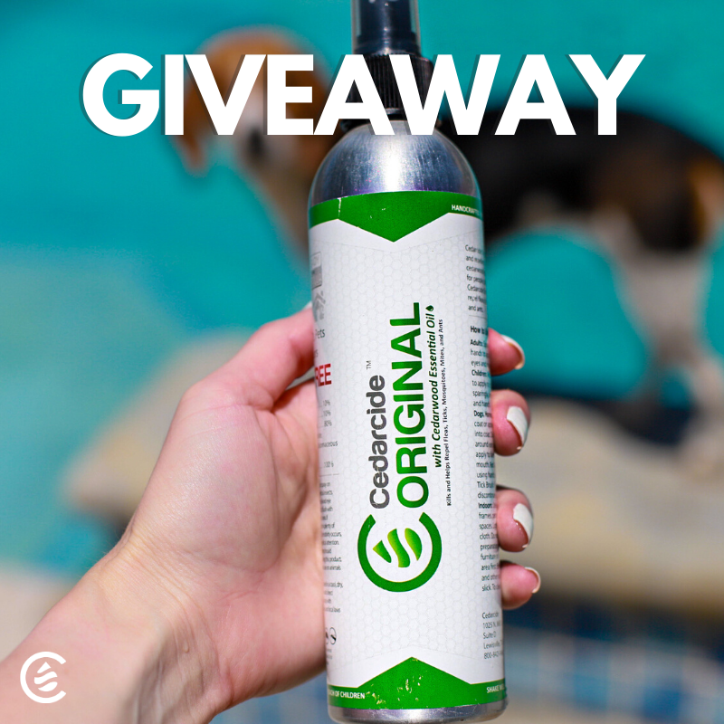 realcedarcide's tweet photo. It is giveaway time! Are pests "bugging" you? This stuff will do the trick ππ Just RT and follow for a chance to win our 8 oz Cedarcide Original natural bug spray! πͺ°π¦ππ·οΈ
US only. Ends 6/2.
#Cedarcide #giveaway #free #natural #bug https://t.co/yNxmOi7pM6