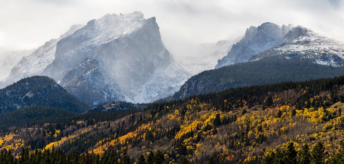 The Wilderness Society 🌳 tweet media