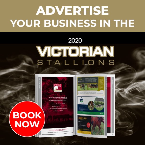 Advertise your business in the 2020 Victorian Stallions Publication, on our Website &amp; on our Social Media pages.

Limited spots available. 

For more information call us on 0411 857 223