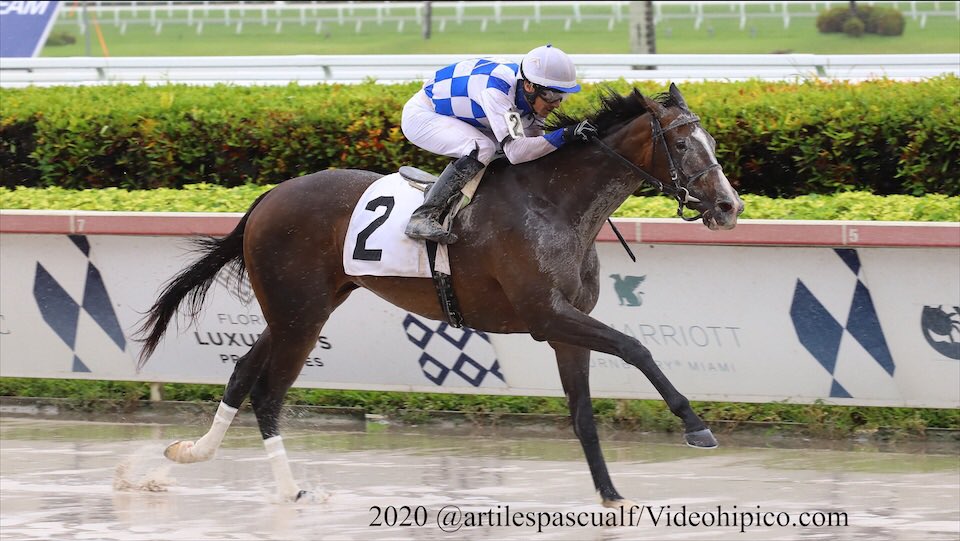 JCAvila63's tweet photo. #24May Stormy Boss crushes his competition in the 2nd Race at #GulfstreamPark jockey @LeojockeyReyes aboard for trainer Juan Carlos Avila.
Congratulations to owner and breeder Sabana Racing Stable Corp @StudSabana 4th victory in the #SpringMeet 2 win this week.
📸 @videohipico https://t.co/5dNcBihUfD