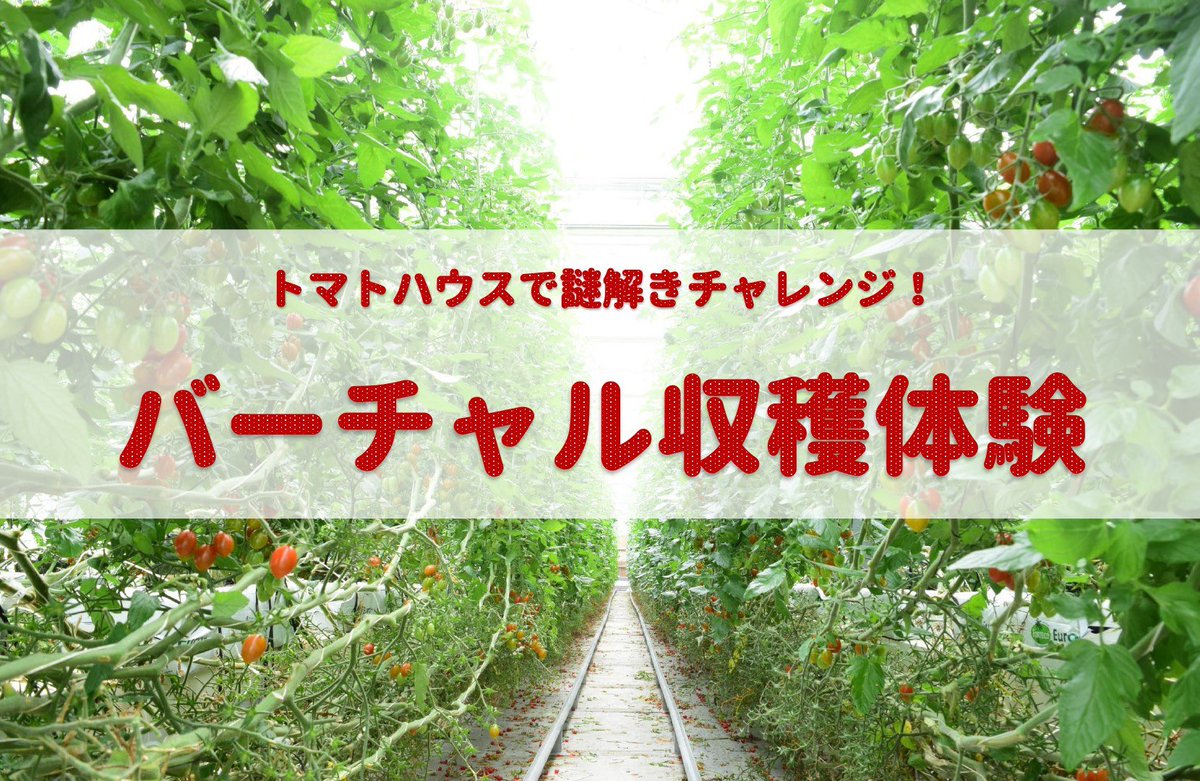 farm_circus's tweet photo. 神戸市北区の巨大なトマト農園、東馬場農園農園さんと、今年もコラボレーション！
今年は、体験型ではなく、初のオンラインイベントに挑戦！🍅🍅🍅 https://t.co/W0AYqt0YYb