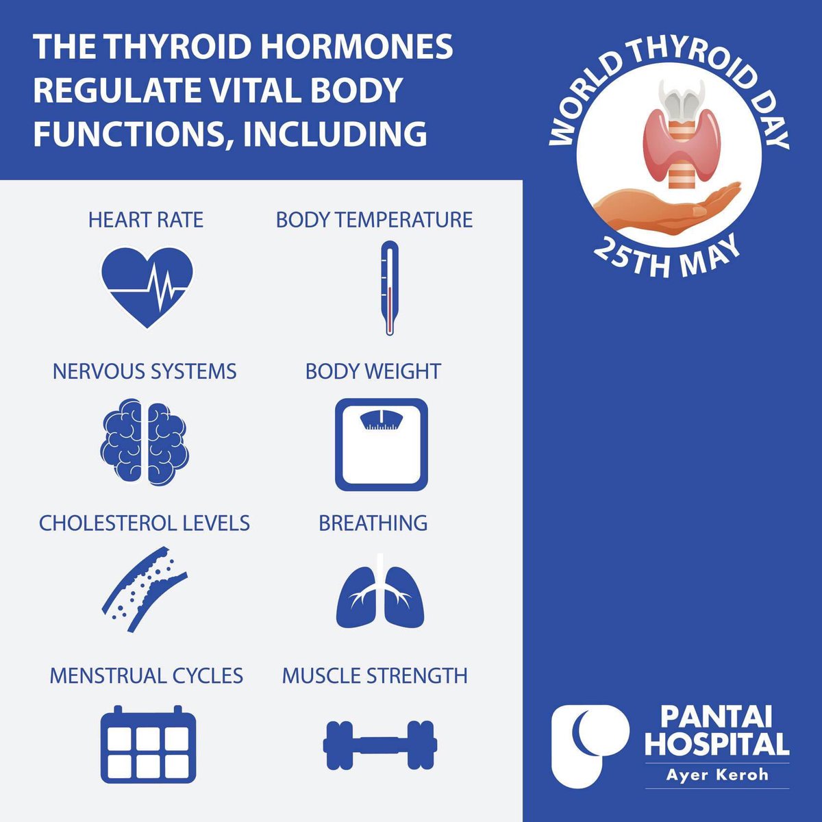 PantaiHospMK's tweet photo. It is World Thyroid Day today! The butterfly-shaped thyroid gland at the base of our neck is vital for our body's metabolism, growth and development.

Let us be aware of the importance of thyroid hormone on our body!

#KnowYourThyroid #ThyroidDay https://t.co/m8IUd0El4d