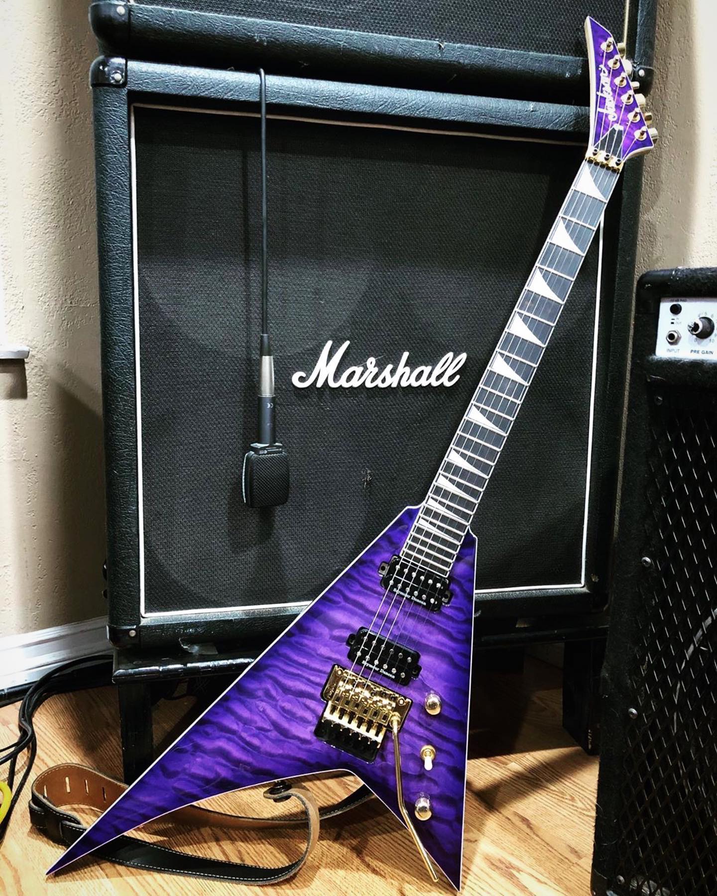 Jackson 2024 rr24q purple