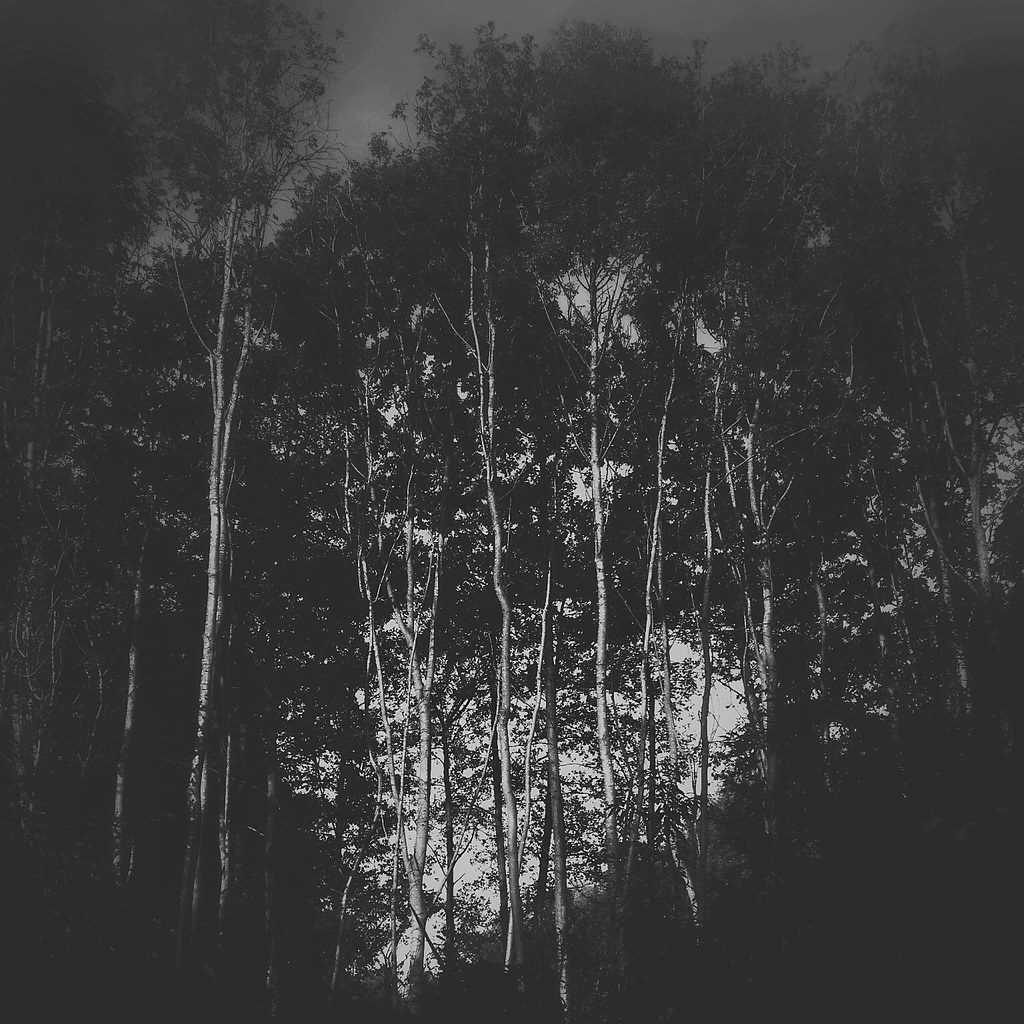 archillect's tweet photo. https://t.co/pXvtCF7RmA