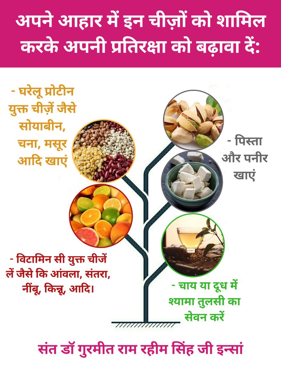 विटामिन - विकिपीडिया, image size:924x1200