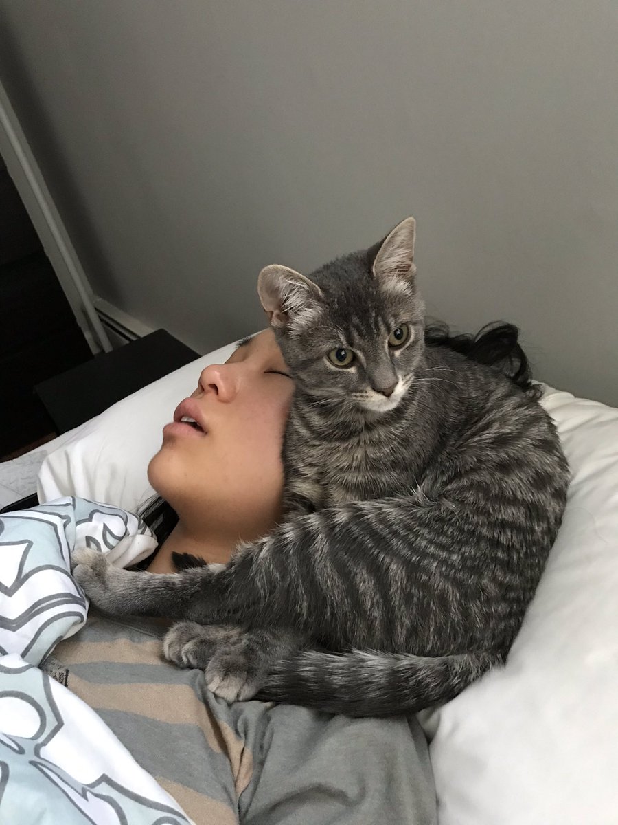 Jak Jak (@zaczulaiqa)  Twitter