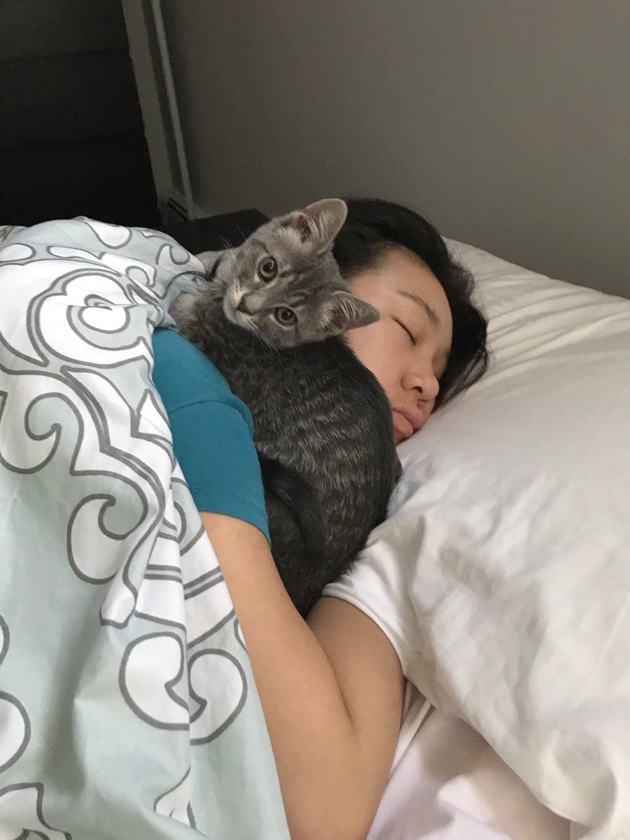 Loxxulus tweet media