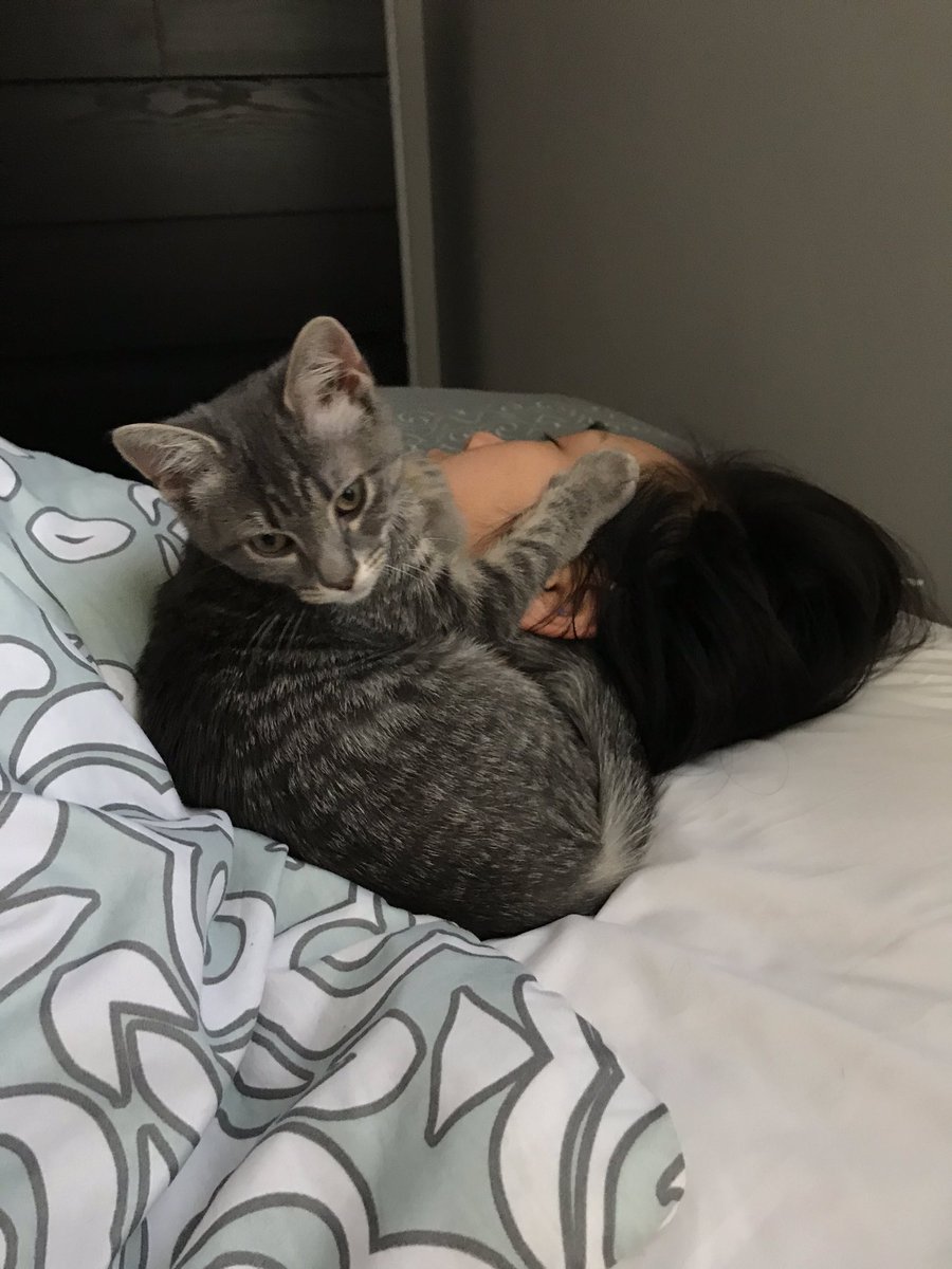 Loxxulus tweet media