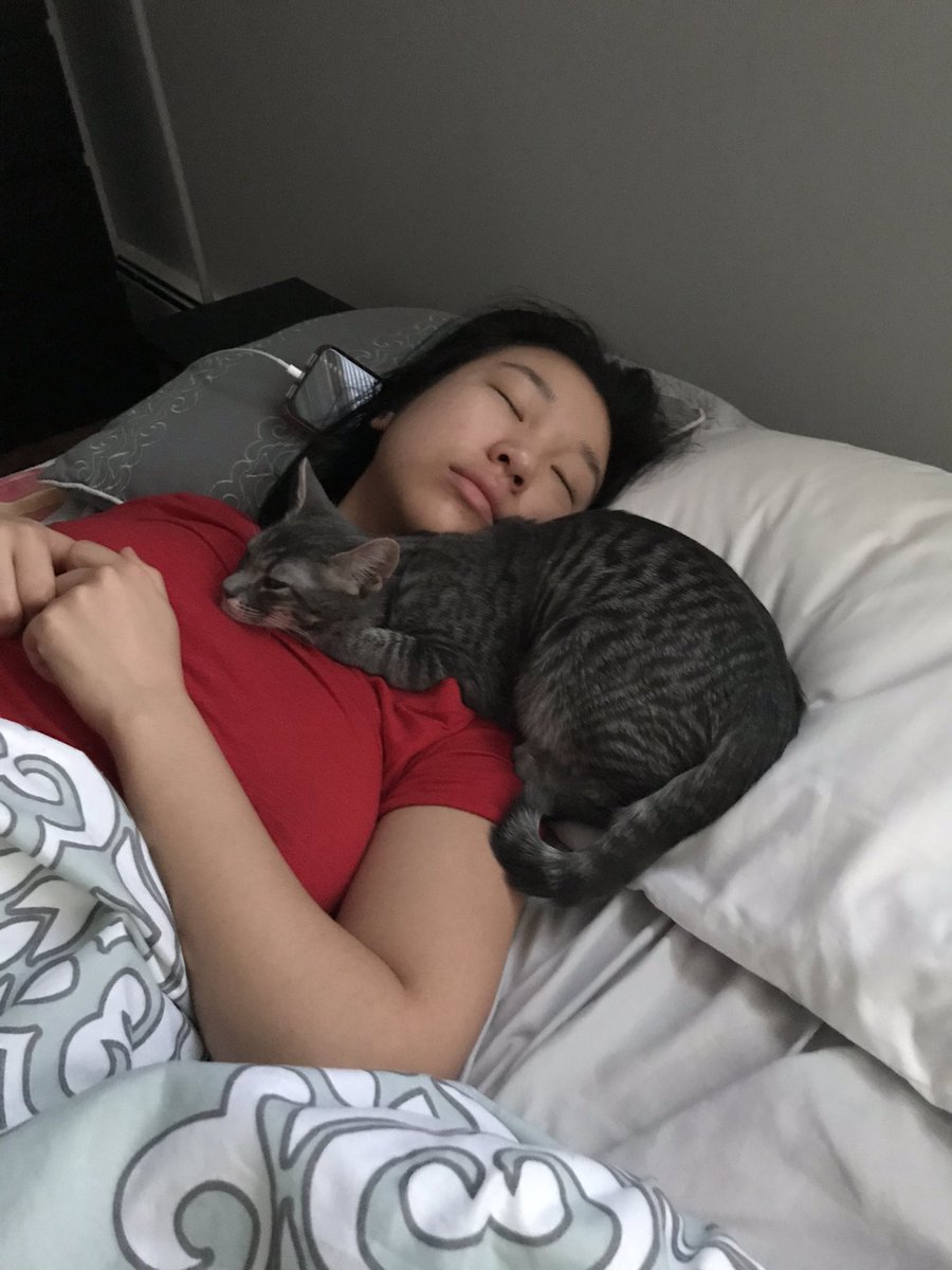 Loxxulus tweet media