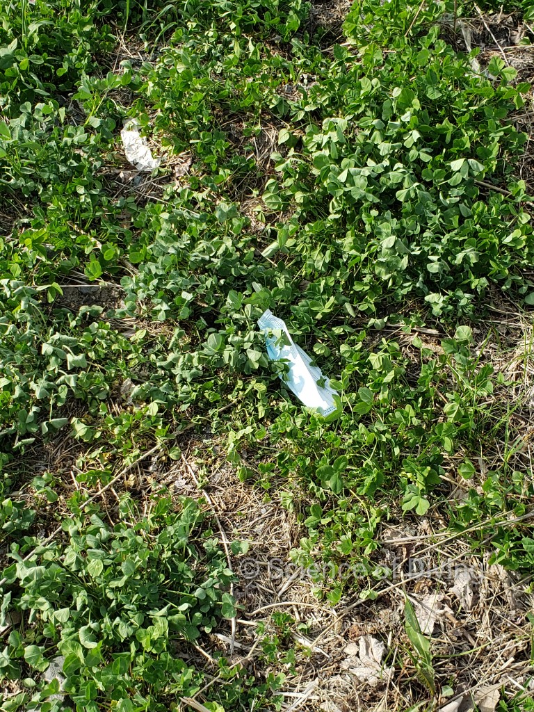 ScienceofDiving's tweet image. New trash, same ole' habit.... Will humans ever stop destroying? #COVIDIOTS #coronavirus #mask #maskchallenge @nature_org @Earthjustice @Seasaver