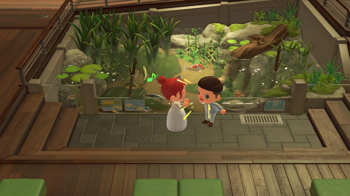 CCStraw's tweet photo. #动物森友会 #AnimalCrossing #ACNH #NintendoSwitch https://t.co/gkiiscumy3