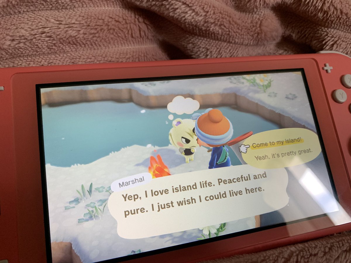 levhime's tweet photo. I got marshal! It took 14 nmt but I was so surprised! 💕💕💕 #ACNH https://t.co/HyydVLyEtR