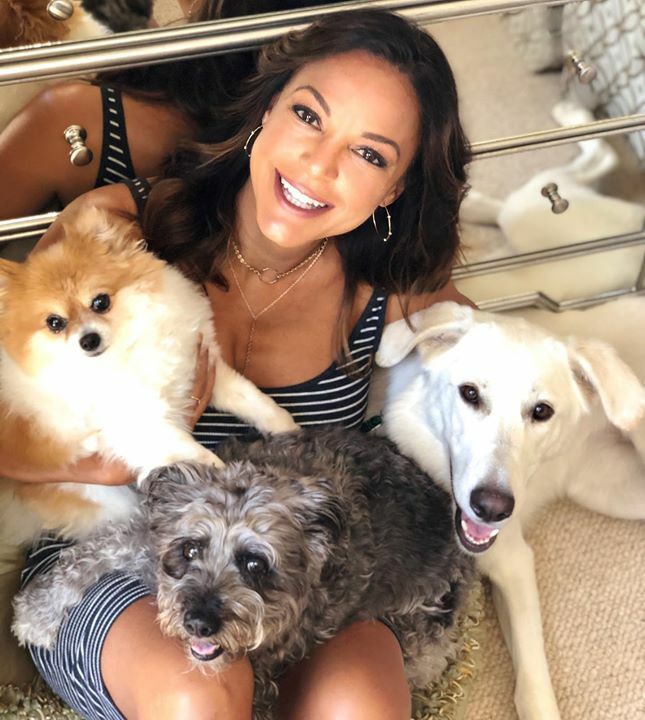 ImEvaLaRue's tweet photo. My Muttly crew♥️🐶 #smallmediumlarge #doggos https://t.co/1vW8MU7xLO