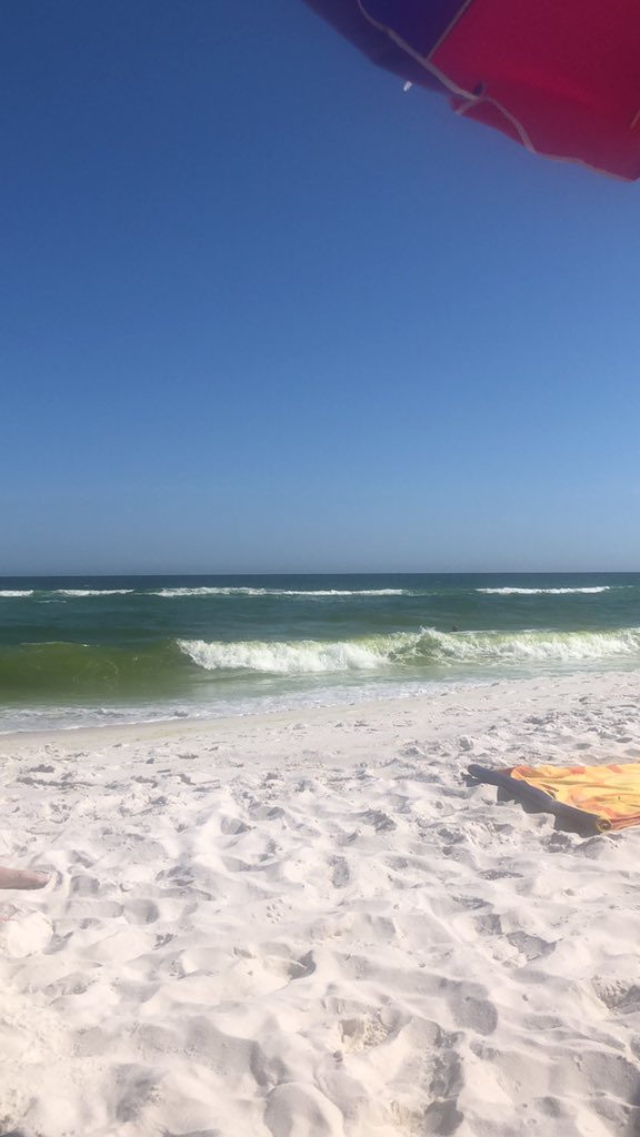 delabeamer's tweet photo. #beachlife #firstpost https://t.co/iJAFmErnfP