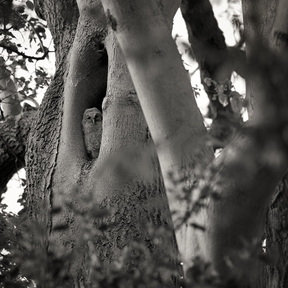 Stewart Alexander tweet media