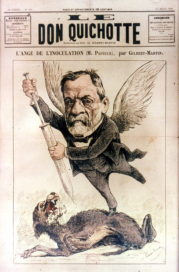 #12El 6 de julio de 1885 Louis Pasteur administró con éxito la primera vacuna antirrábica a Joseph Meister, de nueve años, que había sido mordido por un perro infectado. Otra enfermedad infecciosa era conquistada