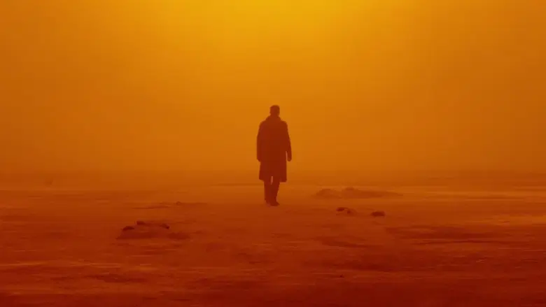 Happy Birthday to one of the best cinematographers Roger Deakins.  