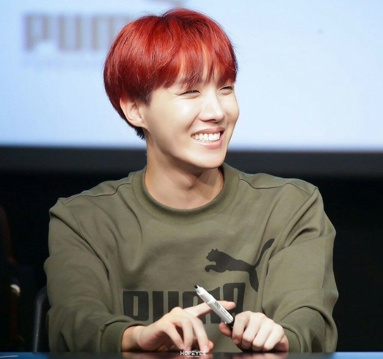 Hoseok as Stitches and Poppy Species': Cub and Squirrel Type(s): Lazy and Normal Phrase(s): "Stuffin" and "Nutty"[Hobi was so hard to pick between really. I even considered Jay, but eh. I think he could fit both poppy n stitches]