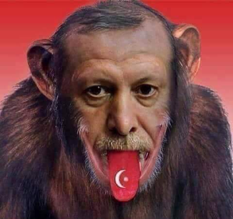 hanysami10's tweet photo. @Egyptia23800634 اه وانتوا مالكم https://t.co/4Txe2UmwZr