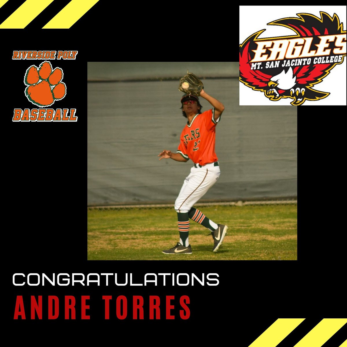 Riverside Poly Baseball tweet media