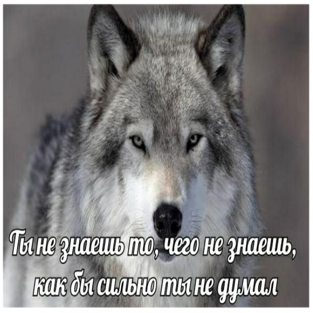 kanveknight's tweet photo. Я решила что сделаю тред. Постараюсь вложиться в него на полную. https://t.co/ZQAEKf5wKH