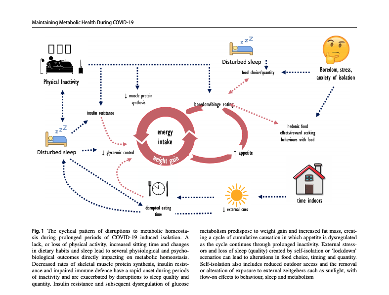 AndyJKing's tweet image. "The Challenge of Maintaining Metabolic Health During a Global Pandemic"

Happy to see this one out &amp;amp; open access

☑️keep moving
☑️diet &amp;amp; nutrition key
☑️be mindful of sleep
☑️sleep-exercise-nutrition all interact

@JohnAHawley @LouiseMBurke @ShonaHalson 

link.springer.com/content/pdf/10…
