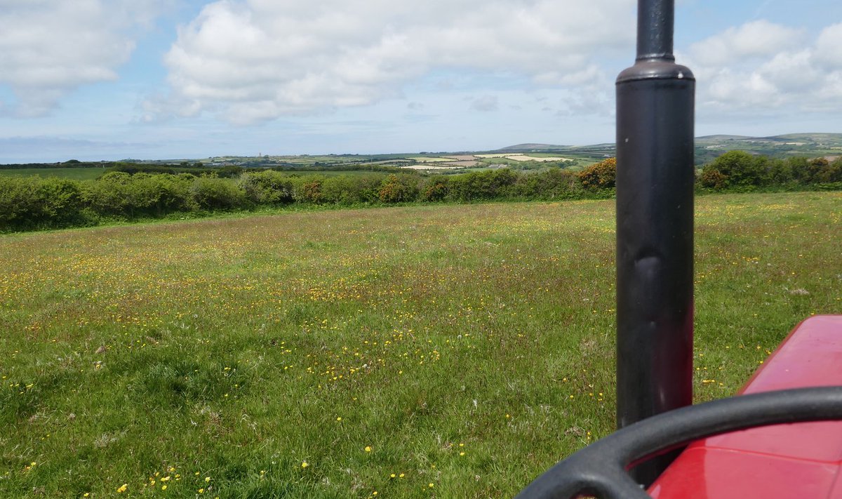 What a view from my Massey 135 whilst topping one of our fields today. #massey135 #tractors #westcornwall #penzance