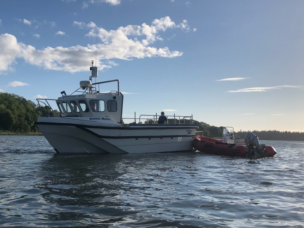 Donegal Bay Charters tweet media