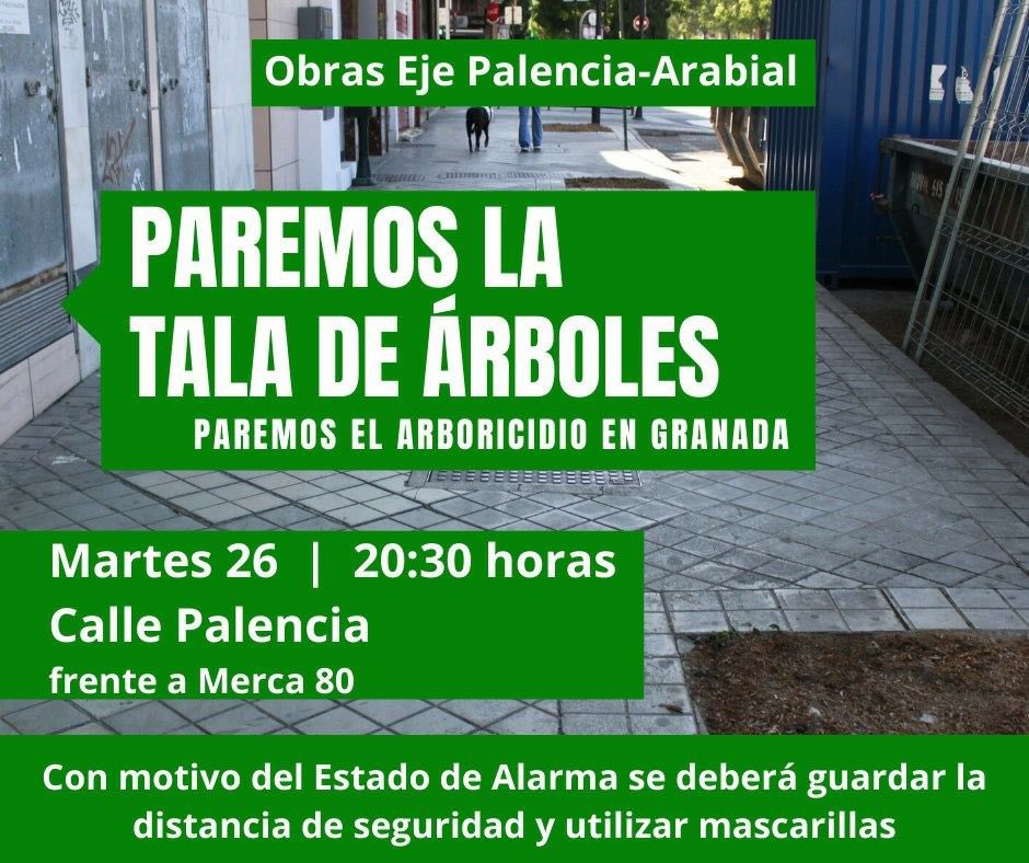 Nosotros queremos parar también la tala de los árboles nos vemos el martes a las 20:30 frente a merca 80