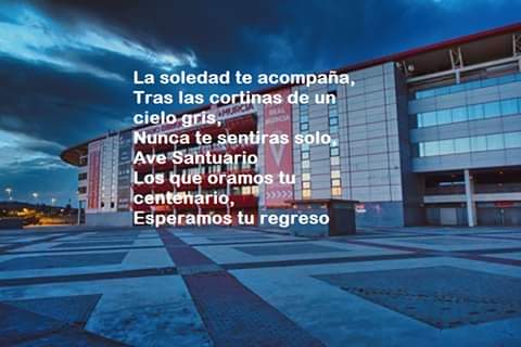 susiplaza1602's tweet photo. Preciosa foto. JAMÁS te dejaremos morir. HASTA EL FINAL.....💪💪💪💪 https://t.co/mtRe8AGl7K