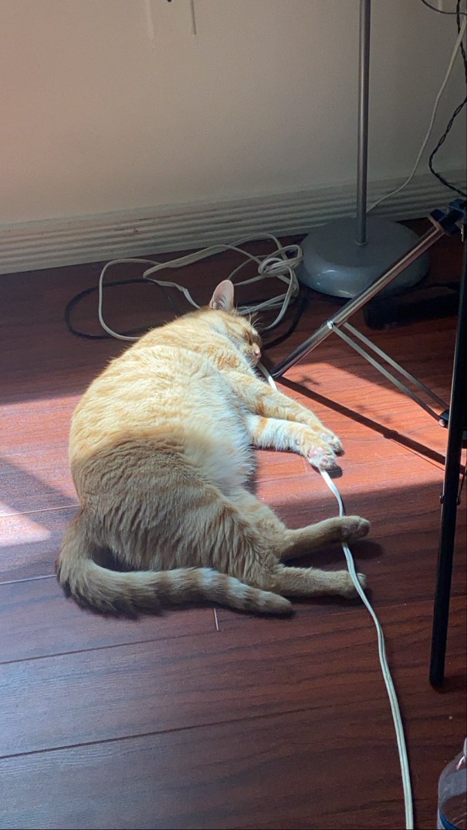 Hi I’m Simon and I like to make the most awkward places look comfortable