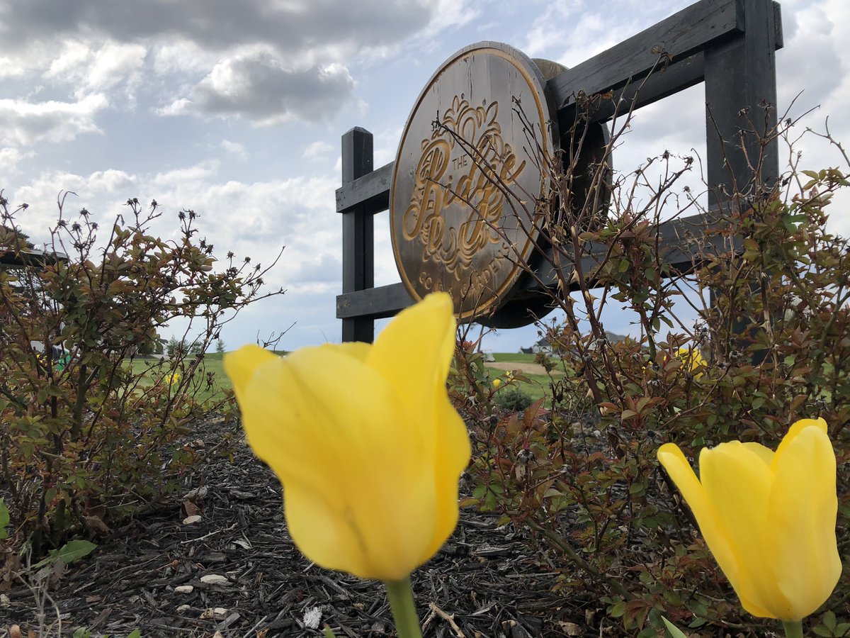 The Ridge could use that Mich Ultra beer cart!!! #ULTRAPrizeScramble