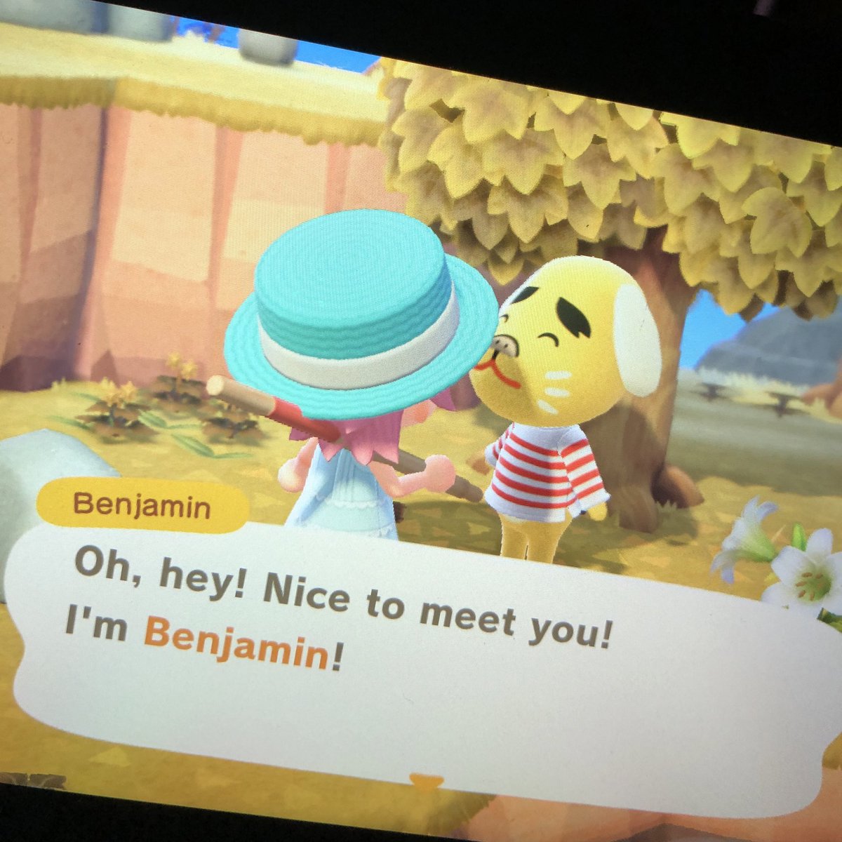 island 2 - benjamincute!! but if im taking any dog villager its gonna be daisy!
