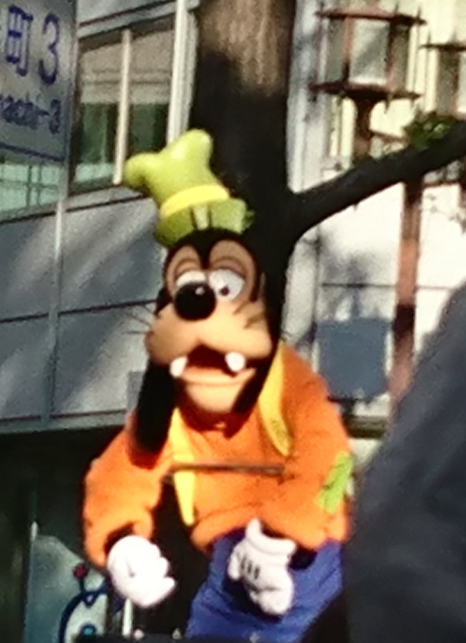 ななみ なぁ 今日はグーフィーのお誕生日 短編集でドジだけどたまにミッキー達よりまともなところも有って ムービーではめっちゃ息子思いのカッコいいお父さん Auの ディズニーパス もグーさんの 壁紙です おめでとうグーフィー 早く会いたいなぁ