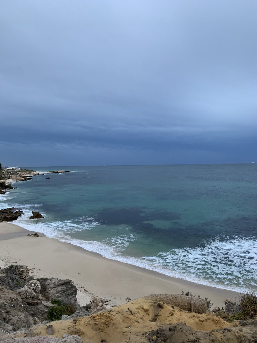 Cryptocuzzie's tweet image. My type of weather💚