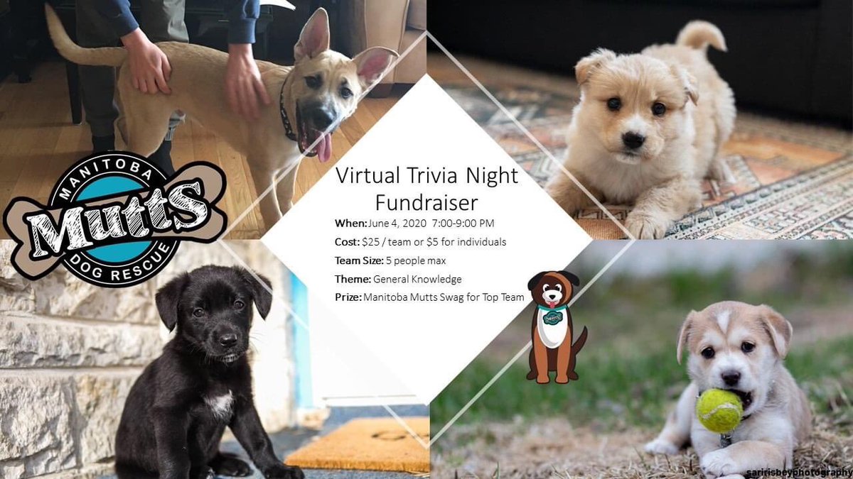 ManitobaMutts's tweet image. facebook.com/events/s/manit…
