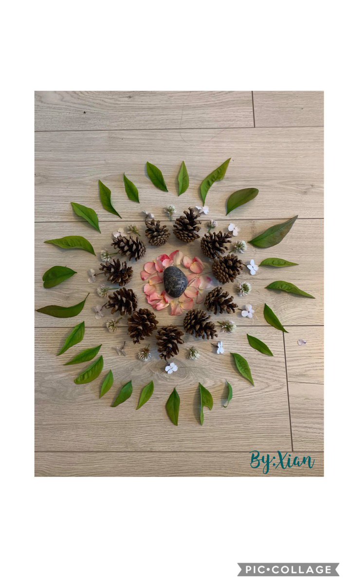 Students have been creating mandalas out of objects found in nature #outdoorlearning #outdoorplay @newwestschools