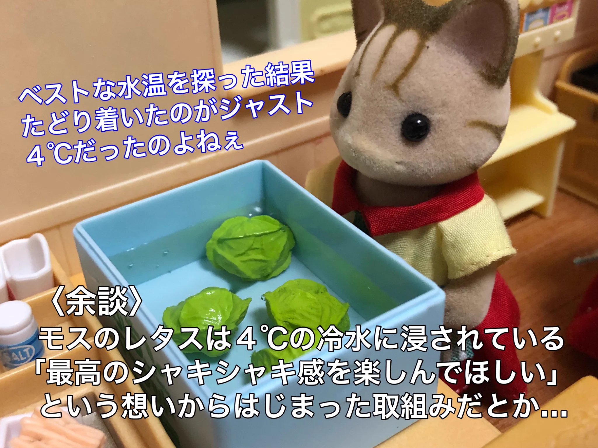 完成までに大変な苦労が･･･！モスバーガーの誕生秘話！